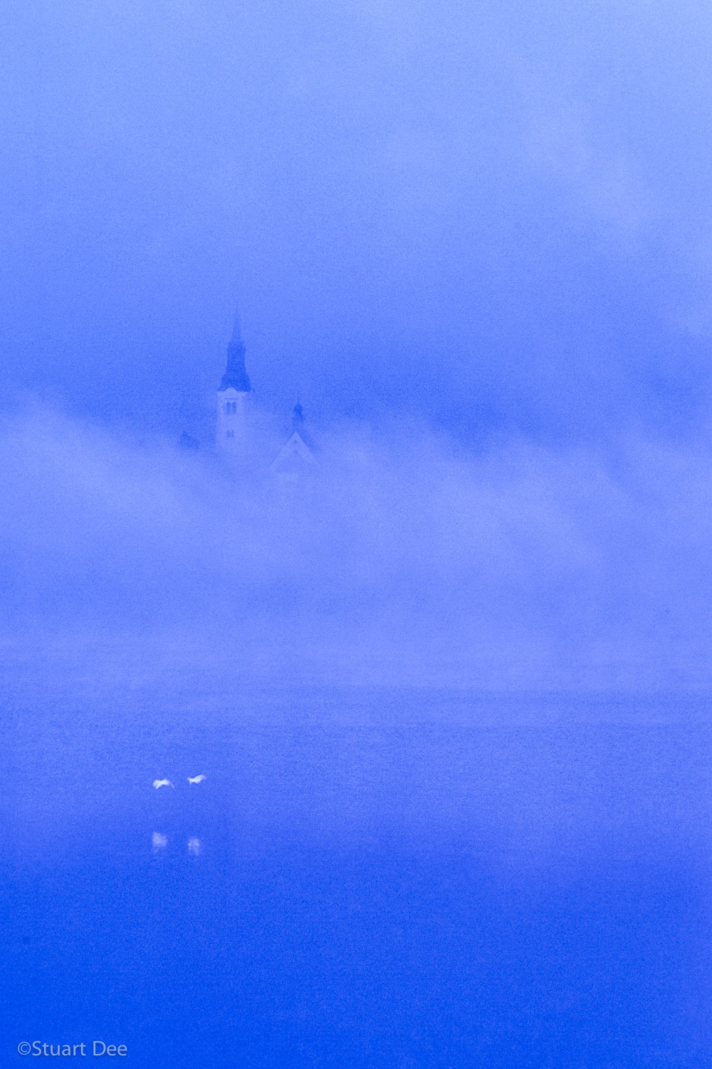  St. Mary's Church, Bled Island (Blenjski Otok), Lake Bled, Bled, Slovenia, in fog and mist, with swans in flight 