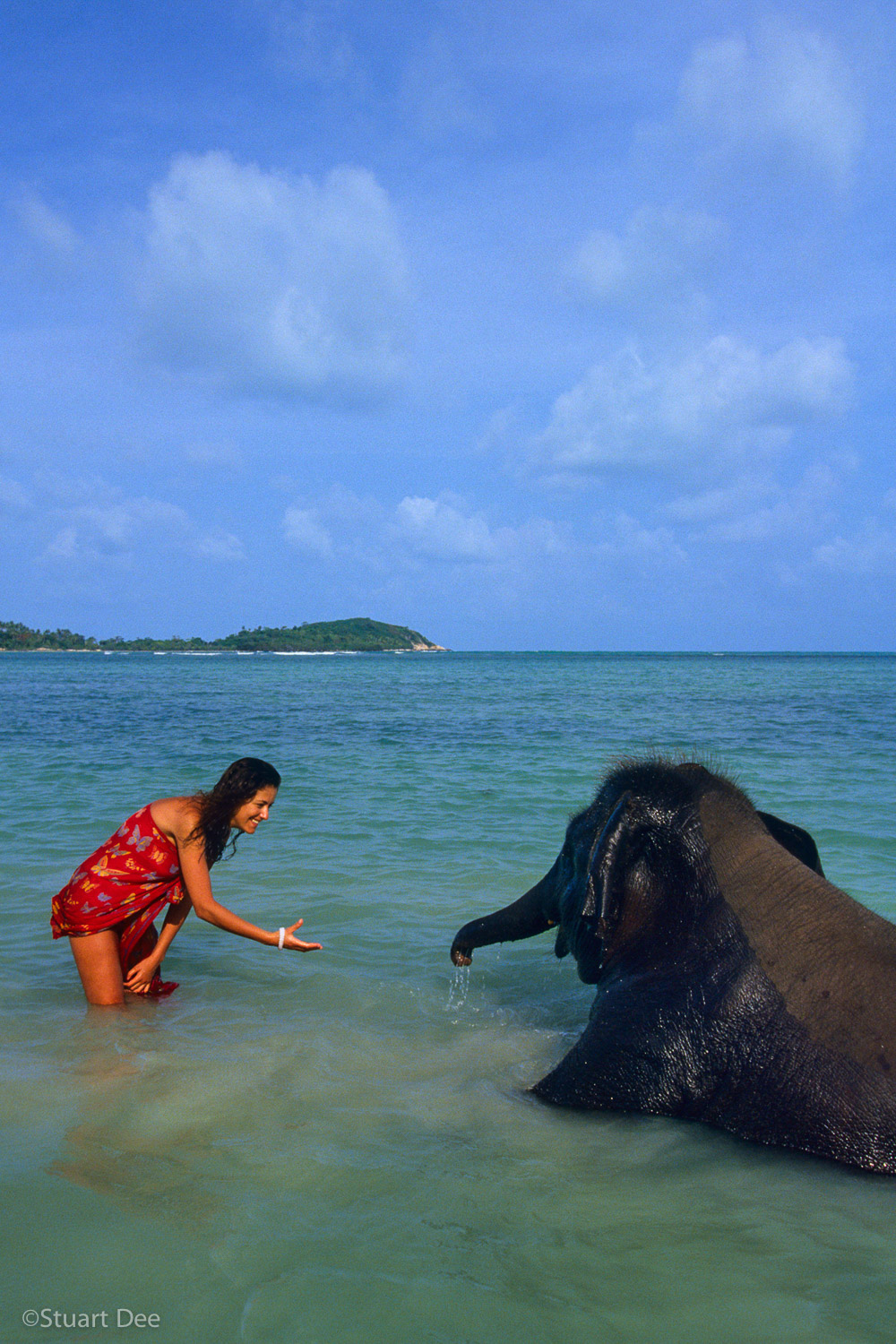  Young woman interacting with baby elephant, Chaweng Beach, Samui, Thailand   R 