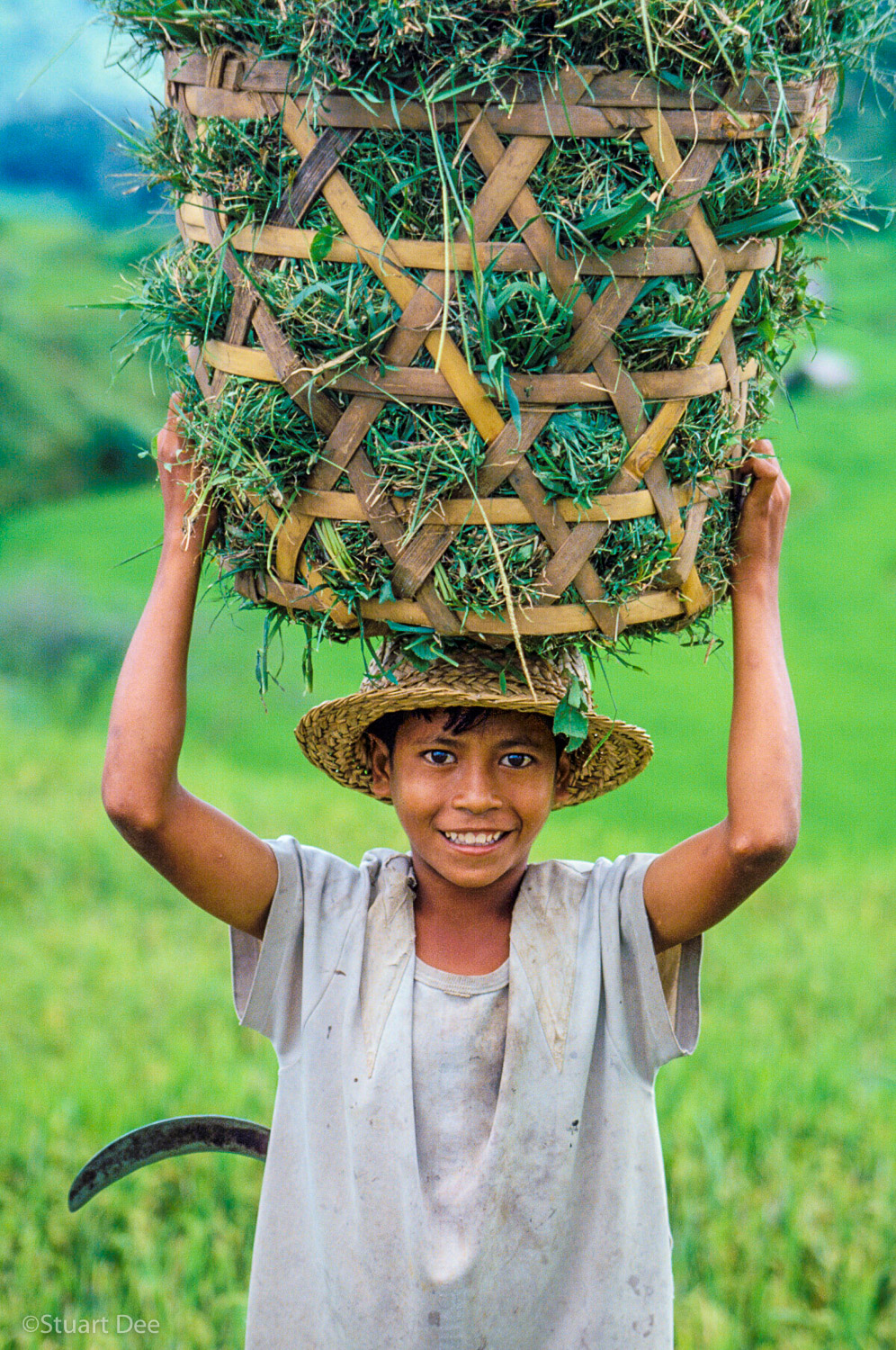  Farm Worker, Bali, Indonesia 