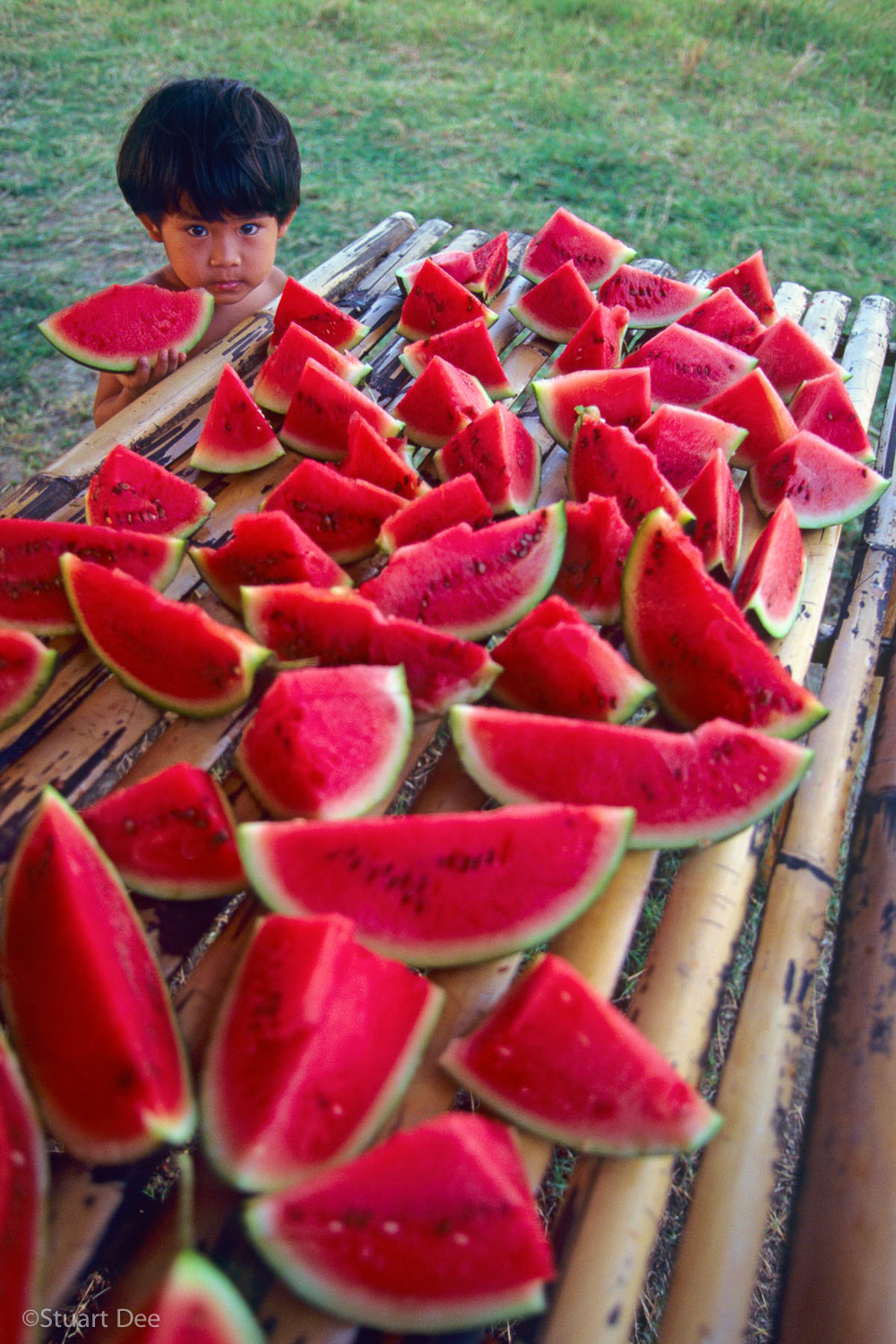 Young boy eating fruit sitting by a table full of sliced watermelon, Iloilo, Philippines R