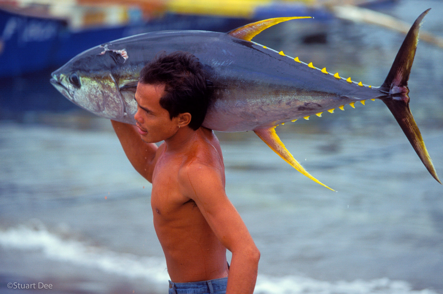 Tuna Landing, General Santos City, Philippines