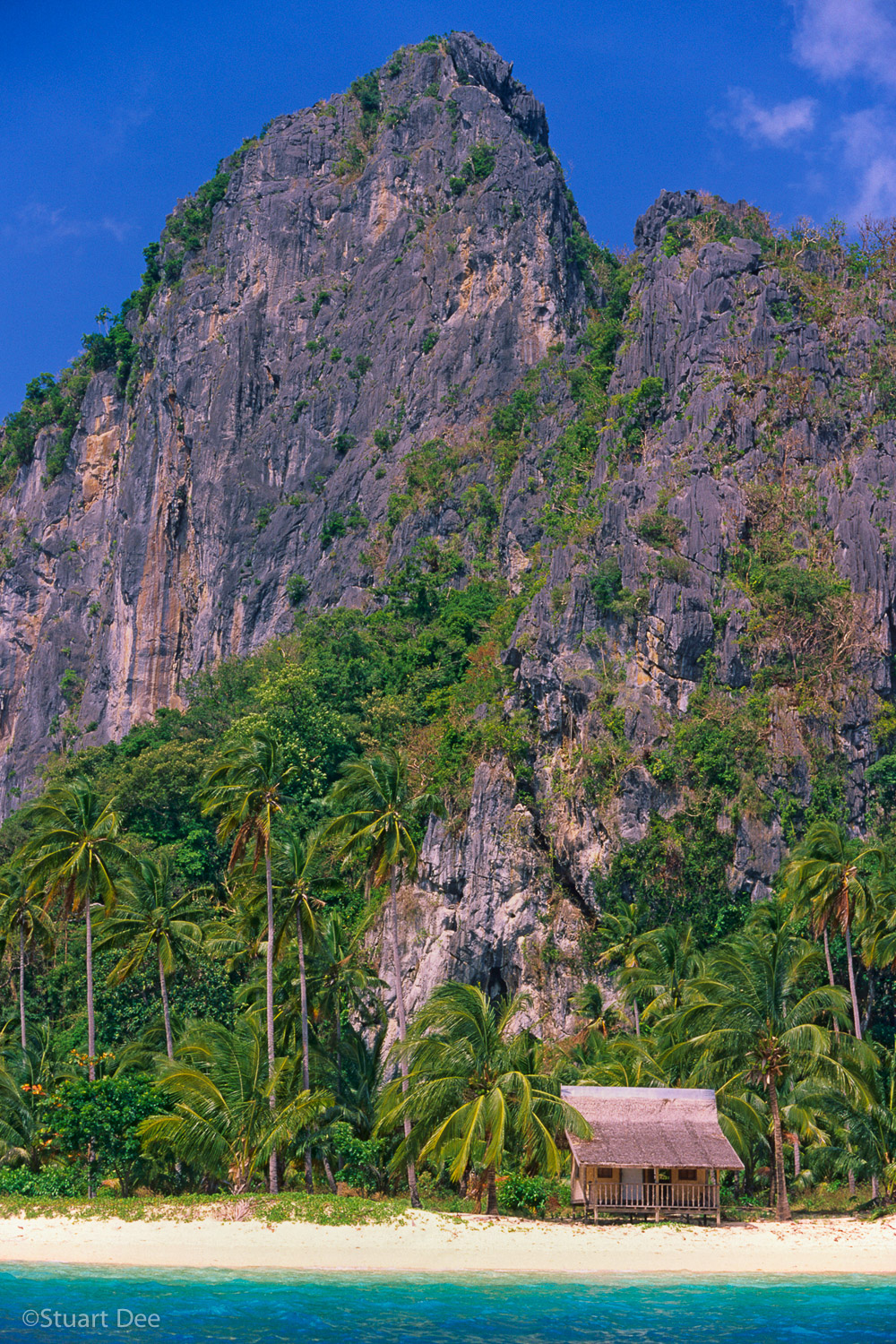  Lone nipa hut amid palm trees, in front of limestone cliff, on an island. Pinagbuyutan Island, El Nido, Palawan, Phiippines 