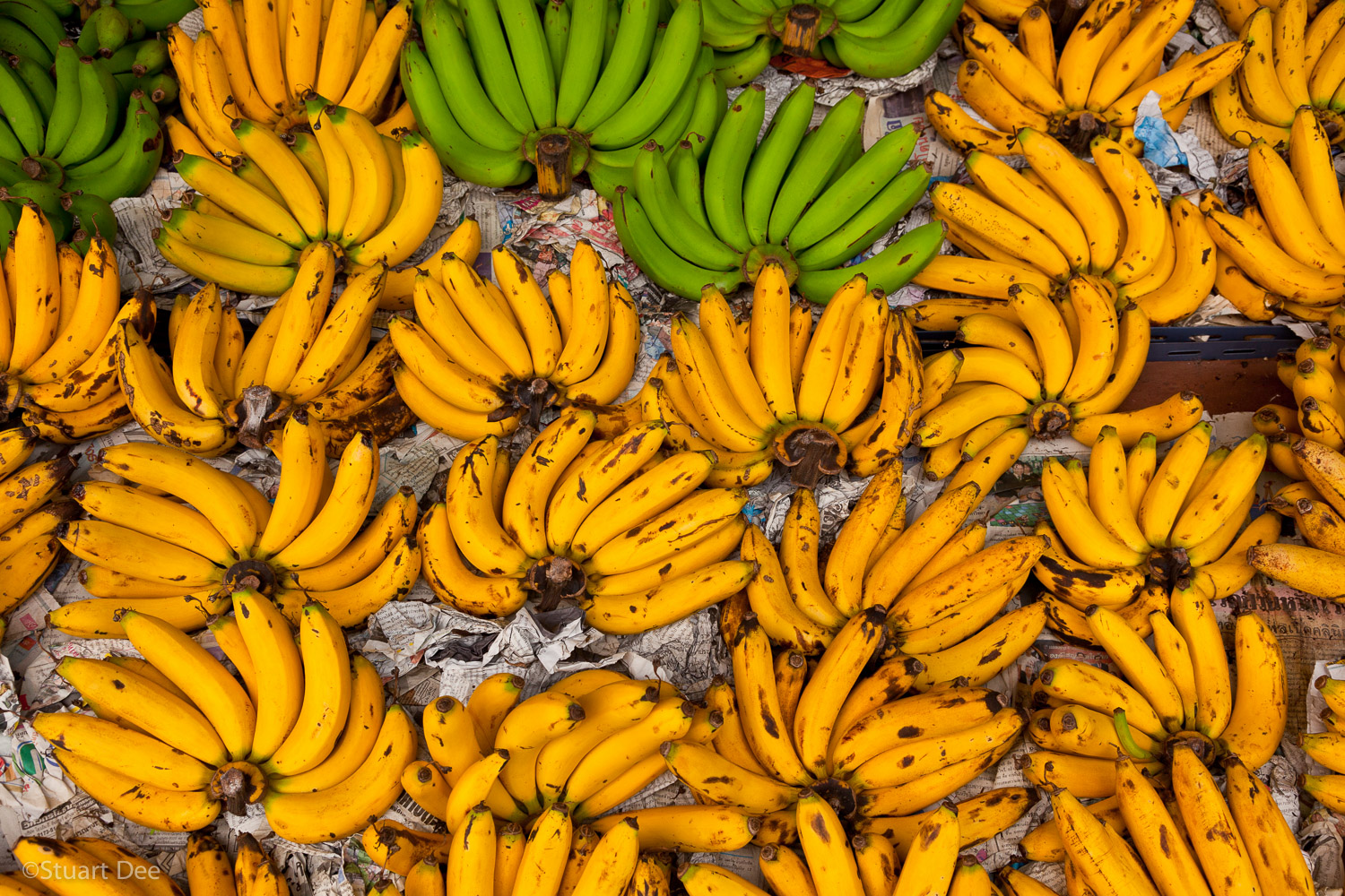  Bananas, Pratu Chiang Mai market, Chiang Mai, Thailand 