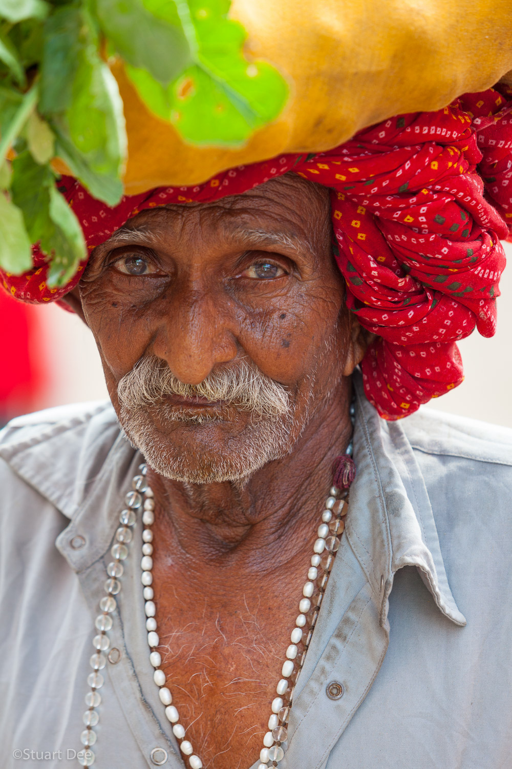  Pushkar Camel Fair, Pushkar, Rajasthan, India 