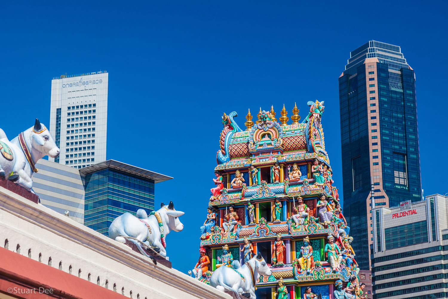  Sri Mariamman Temple, Chinatown, Singapore. This is the oldest Hindu temple in Singapore. Contrast of the traditional and modern architecture. 