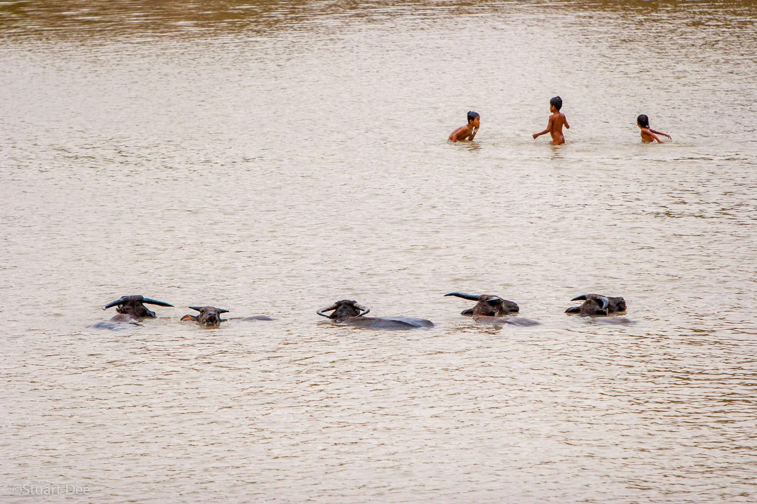 Kids playing in pond, Pursat, Pursat Province, Cambodia. Pursat is one of nine provinces part of the Tonle Sap Biosphere Reserve.