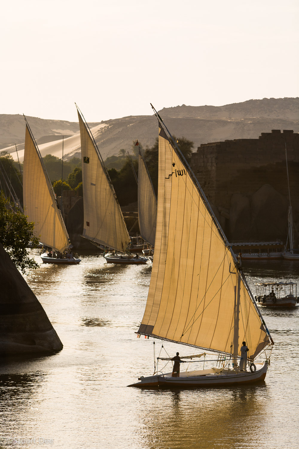  Feluccas, Nile River, near Aswan, Egypt 