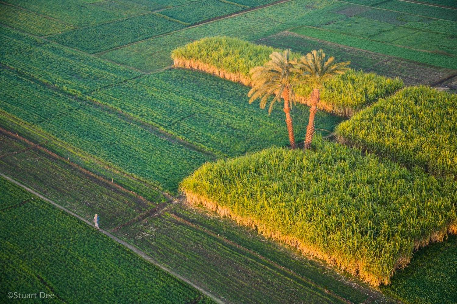 Egypt