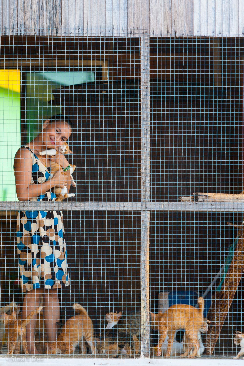 Woman with her pet cats, Buli Sim Sim water village, Sandakan, Sabah, Malaysia. Sandakan is the second largest city in Sabah (after KK) and is a gateway to many ecotourism destinations. 