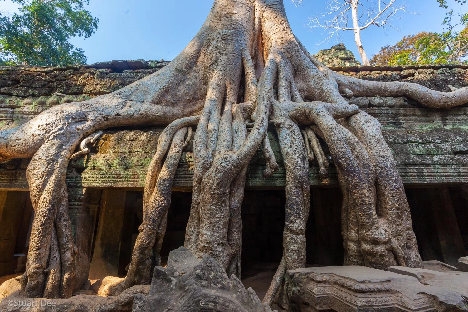  Angkor Wat Complex, Angkor, Siem Reap Province, Cambodia 
