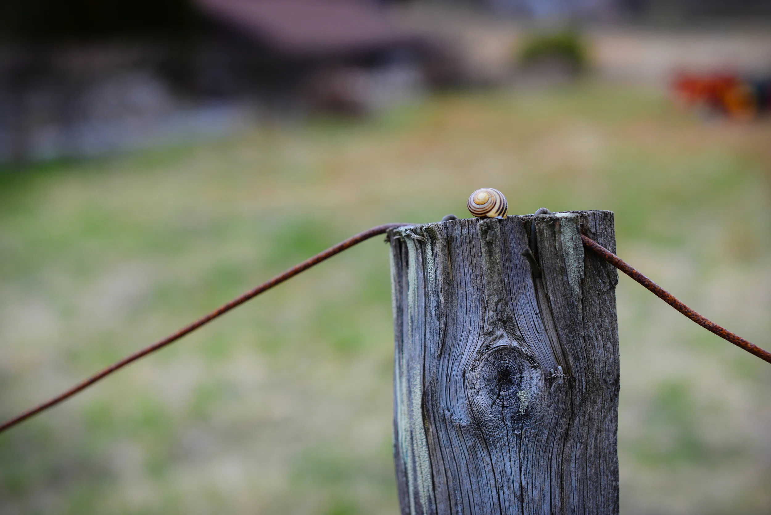 DSC_4034.jpg