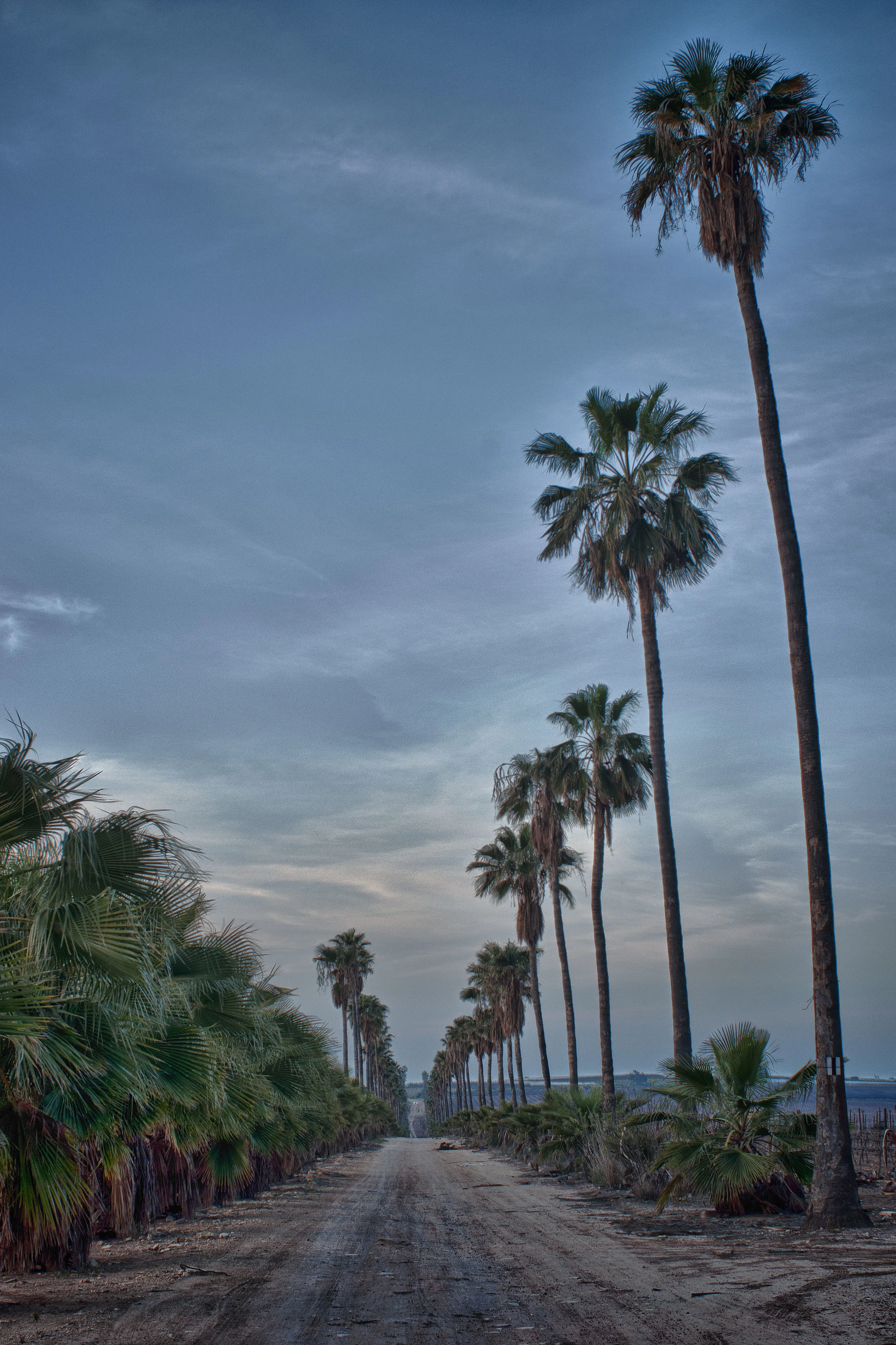 DSC_8885_HDR.jpg