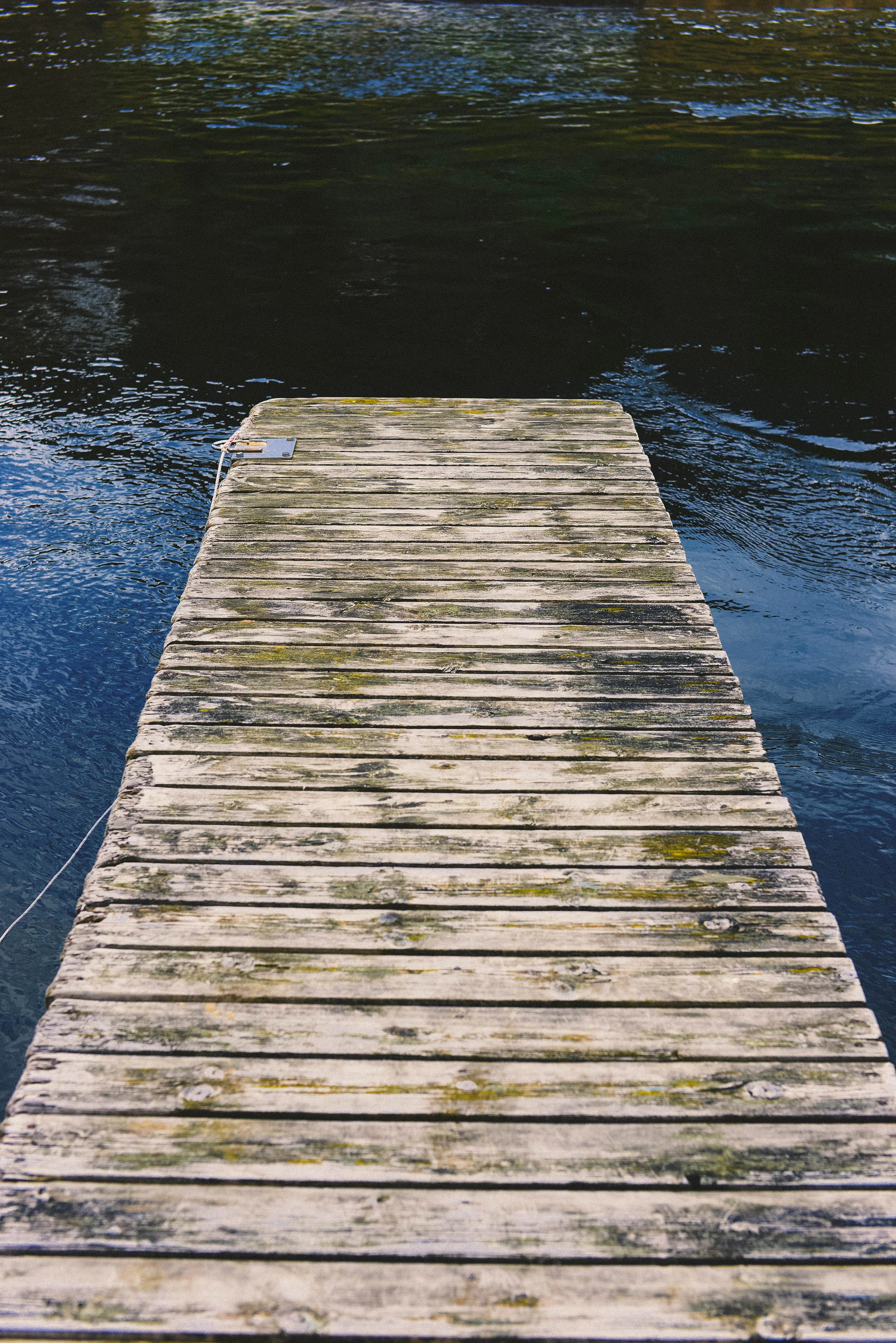 DSC_4025.jpg