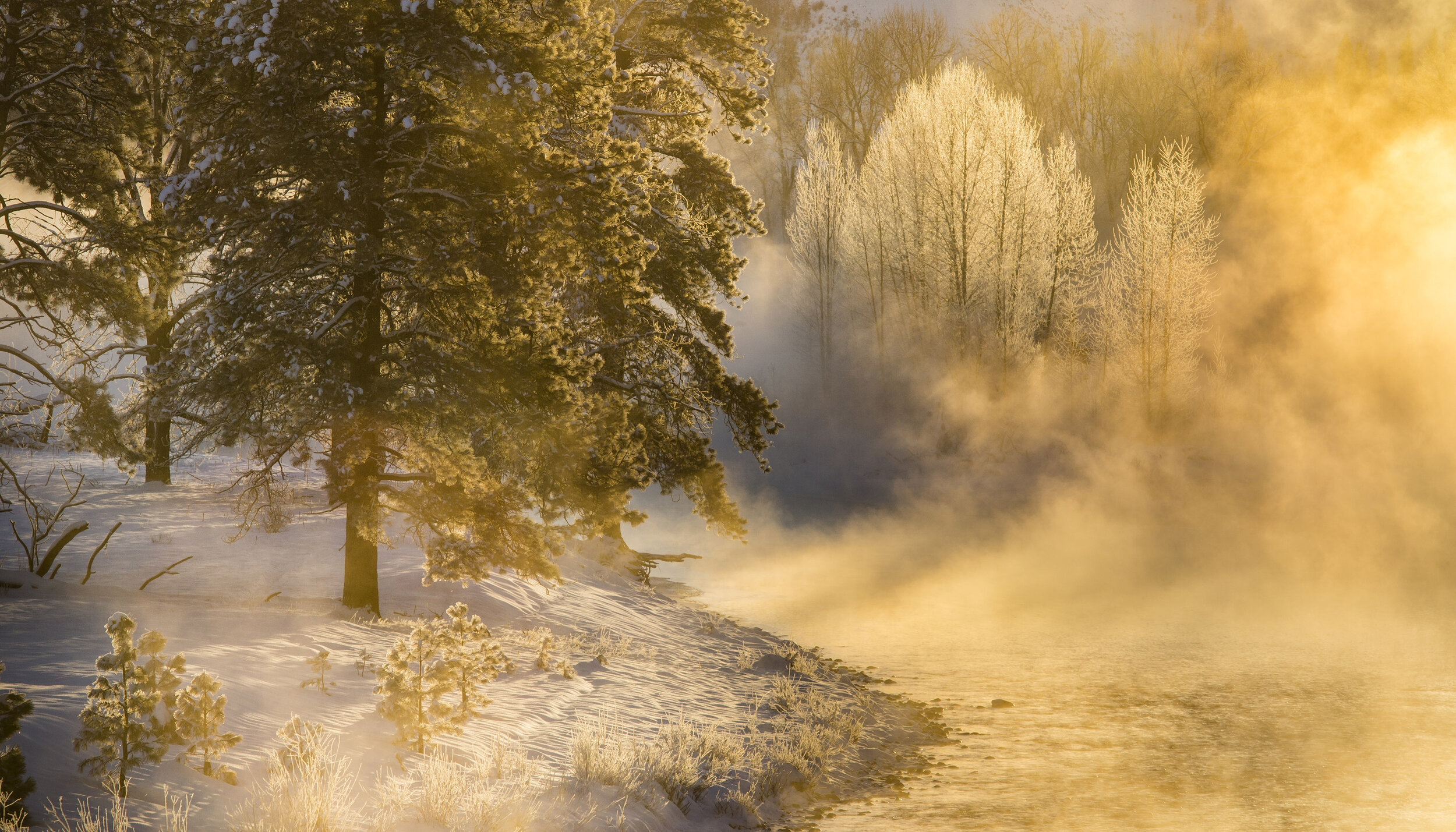  Landscape: Fog hovering above the Methow River at sunrise in winter, Methow Valley, Washington 