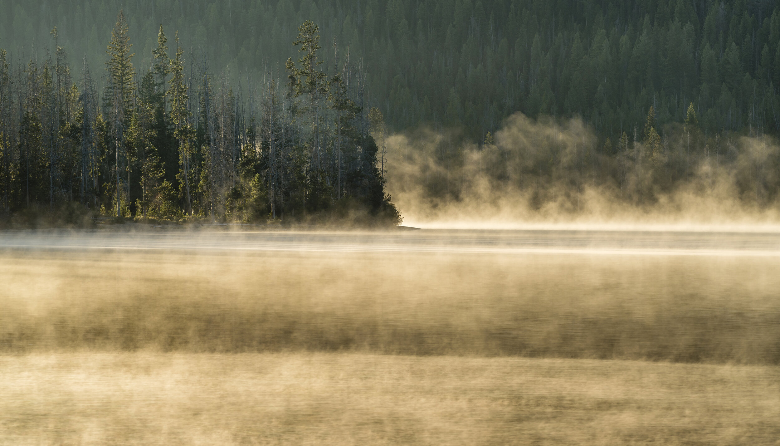  Landscape: Fog rolling along Stanley Lake at sunrise in summer, Sawtooth Mountains, Idaho 