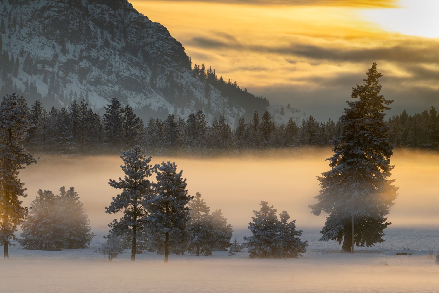Fog rolling along Stanley Lake at sunrise in summer, Sawtooth Mountains,  Idaho — Stephen Matera Photographer