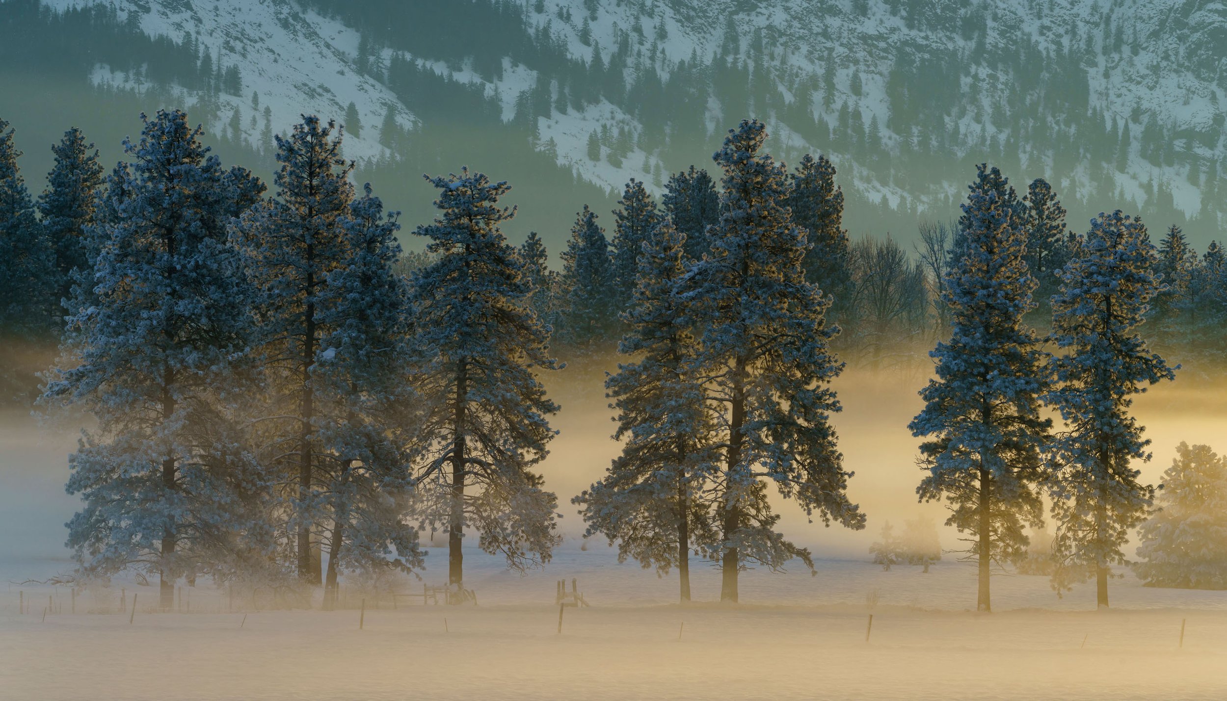  Landscape: Fog at sunrise in winter, Methow Valley, Washington 