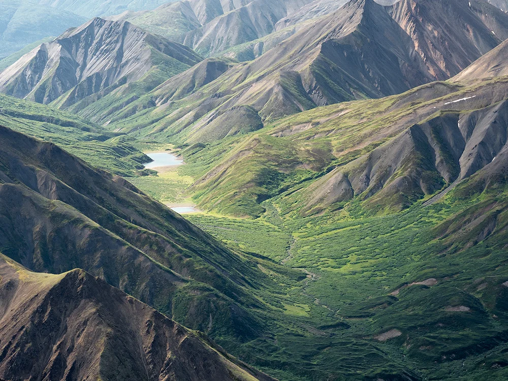 Goat Creek and Alder Creek Headwaters, Saint Elias Mountains (Kluane National Park), Yukon Territory