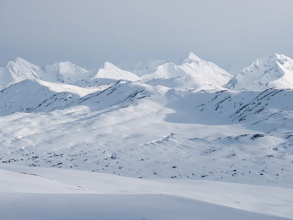 Alsek Ranges, looking towards Alaska, Saint Elias Mountains, British Columbia