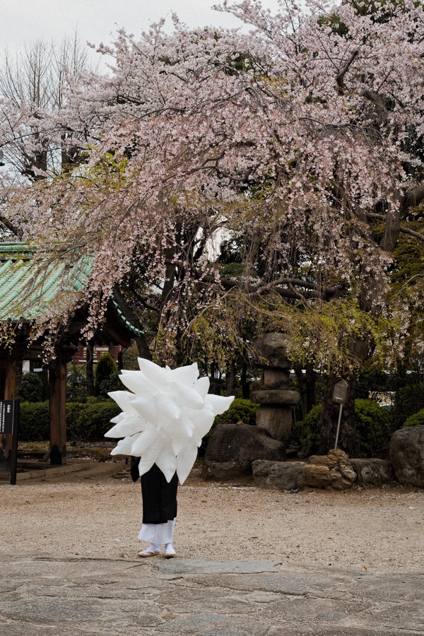  Shibakoen, Tokyo, 2011