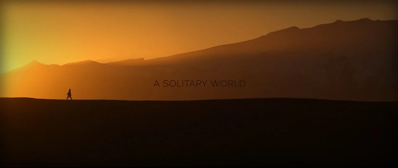 A Solitary World