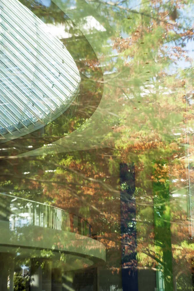 Mother Nature Mezzanine
