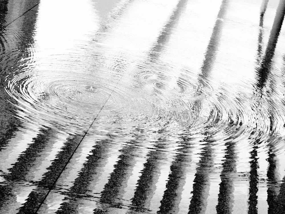 Concentric Circles
