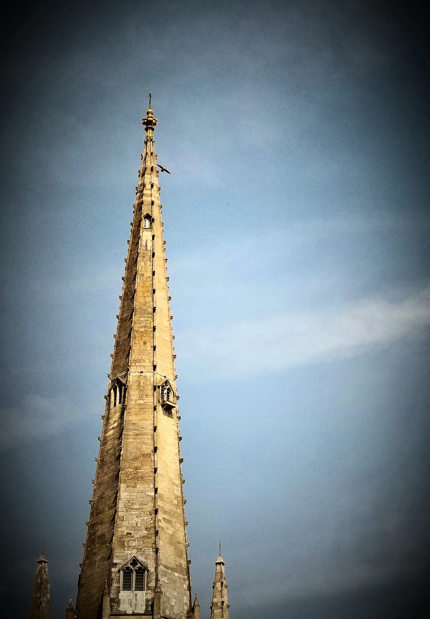 Stopping to marvel together at the peregrine's nest on the 900-year-old cathedral spire (The nesting ledge is on the 2nd window down on the right)