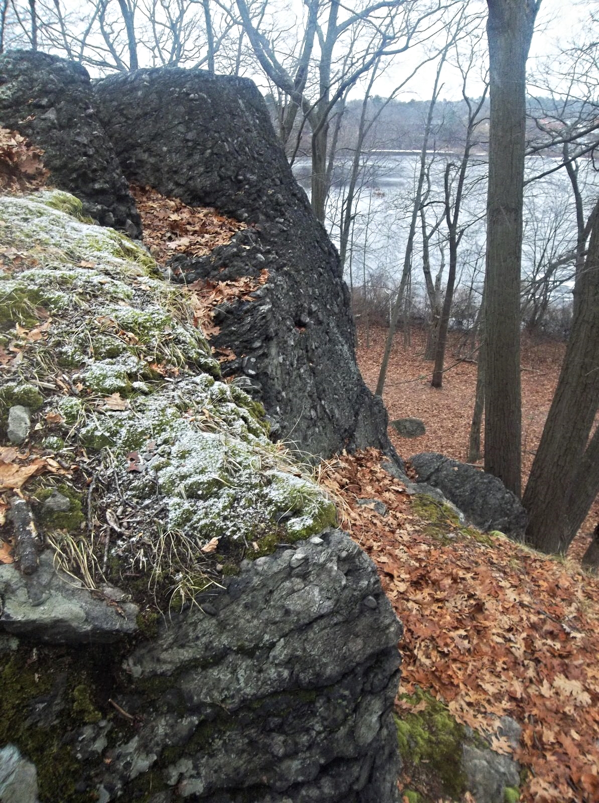 Hammond Pond from near the top of the Puddingstone. Michelle Geffken, 2014
