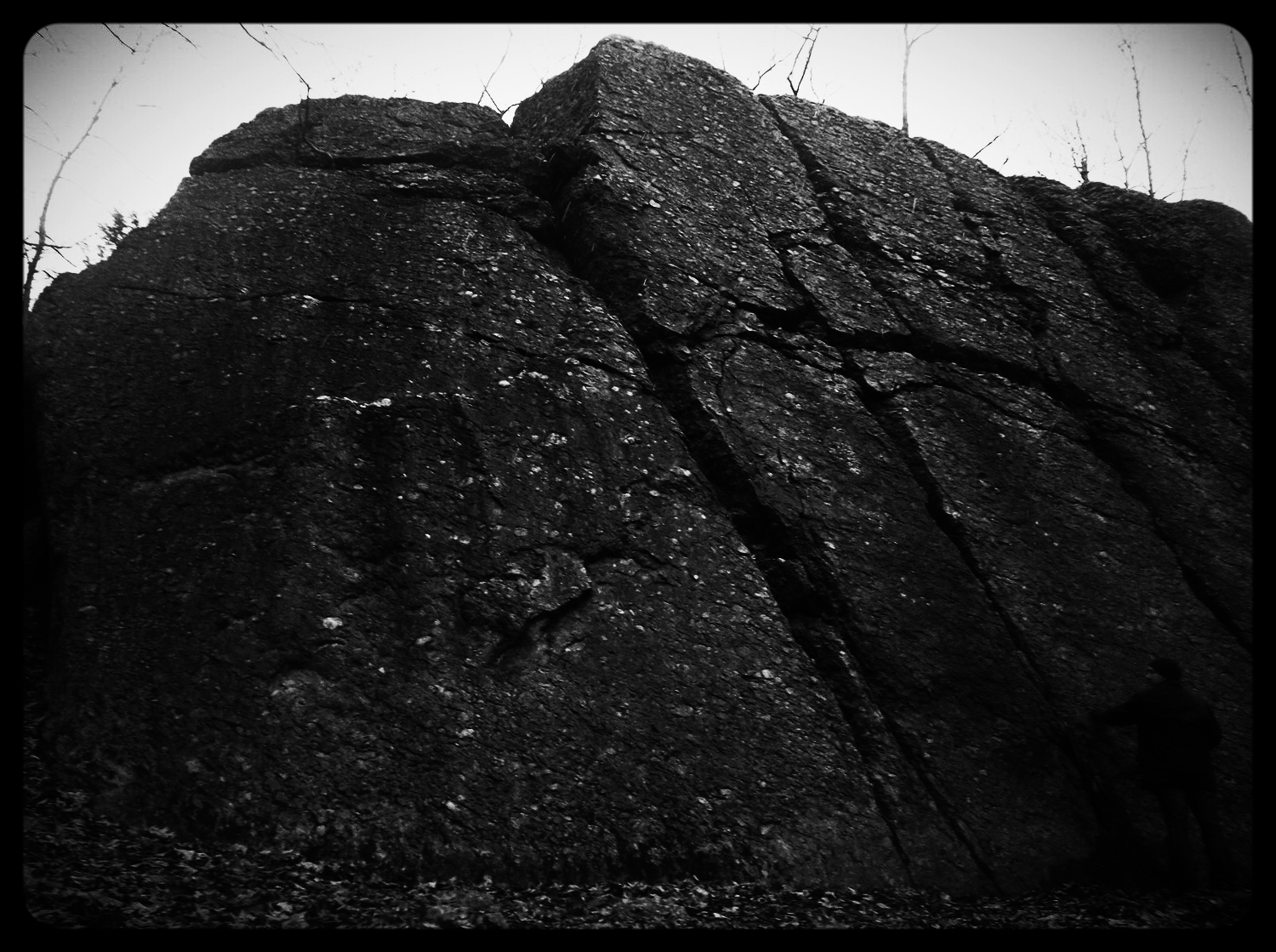 The tallest outcrop of Puddingstone in the area. Its face bears the marks of quarrying. Michelle Geffken, 2014