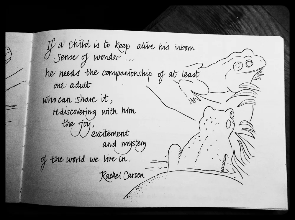 Wonder & Someone to Share It