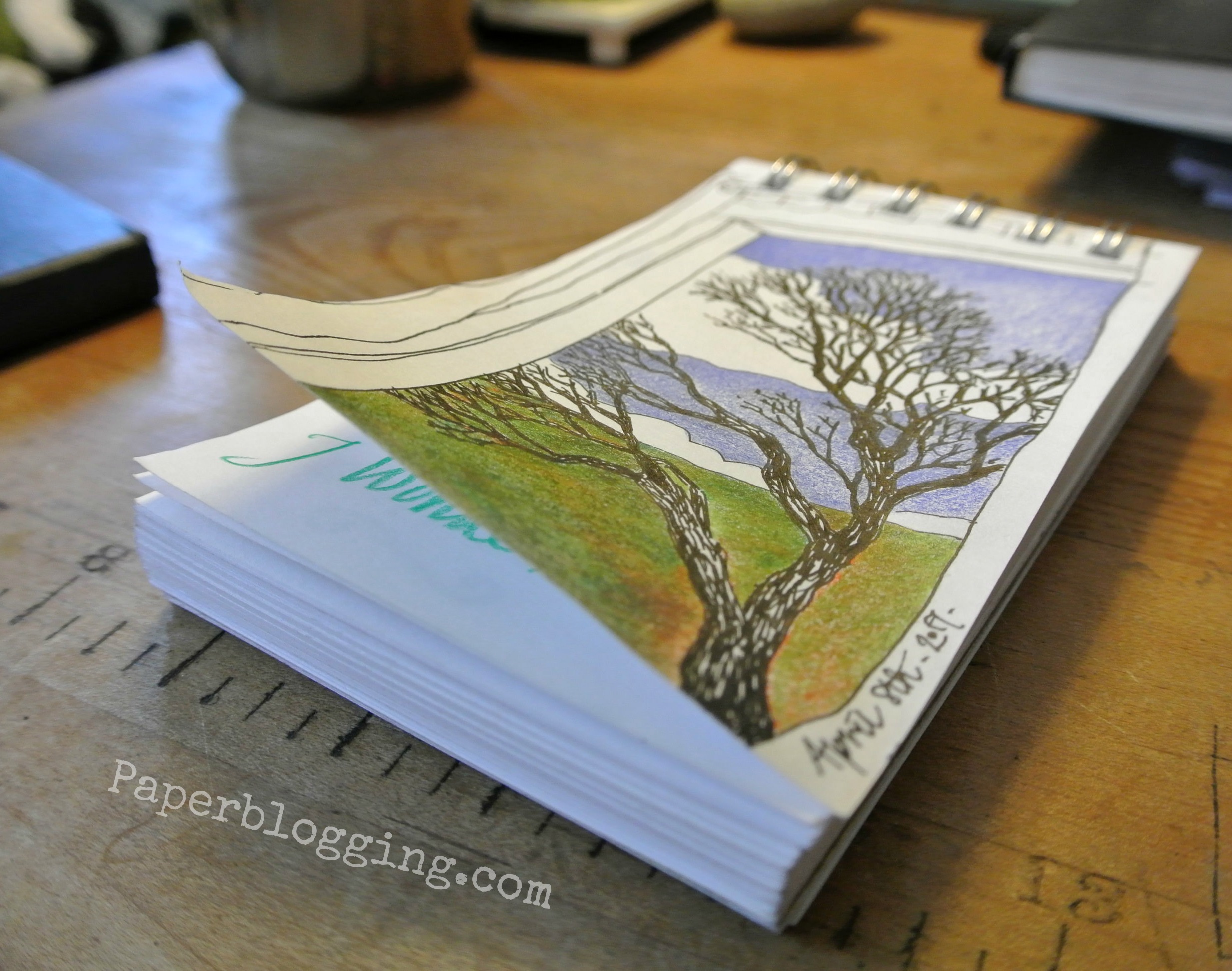 Strathmore Tiny Book. View from the window. Black Le Pen and Polychromos Color Pencils .