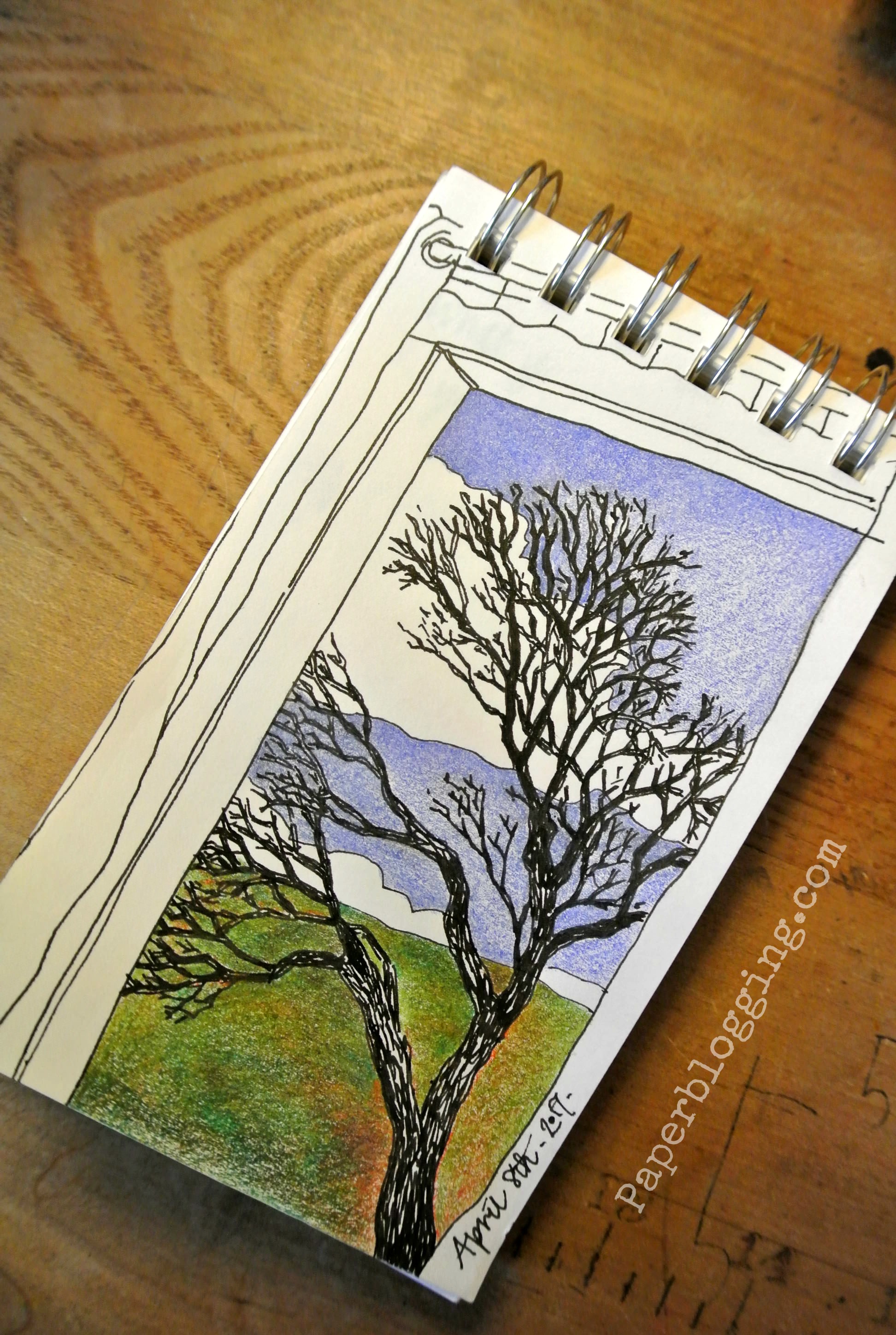 Thanks to Bruno Munari and Drawing a Tree