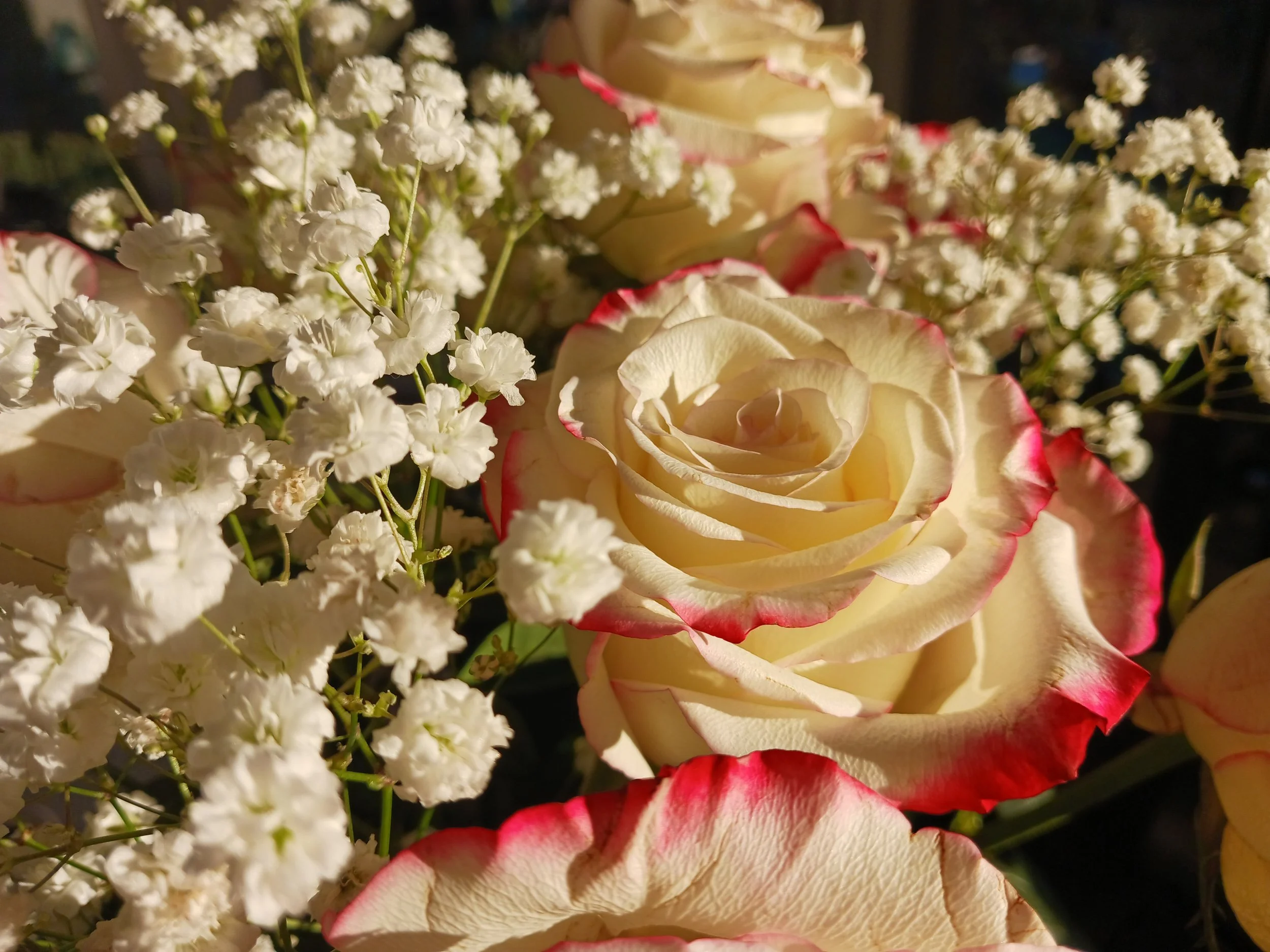 The Glad Surprise: a Notebook Idea