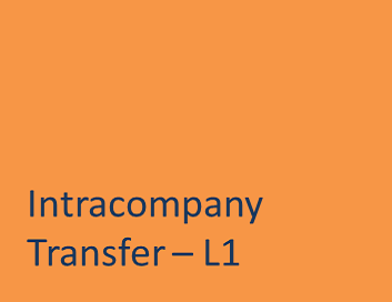L1 intracompany transfer copyright