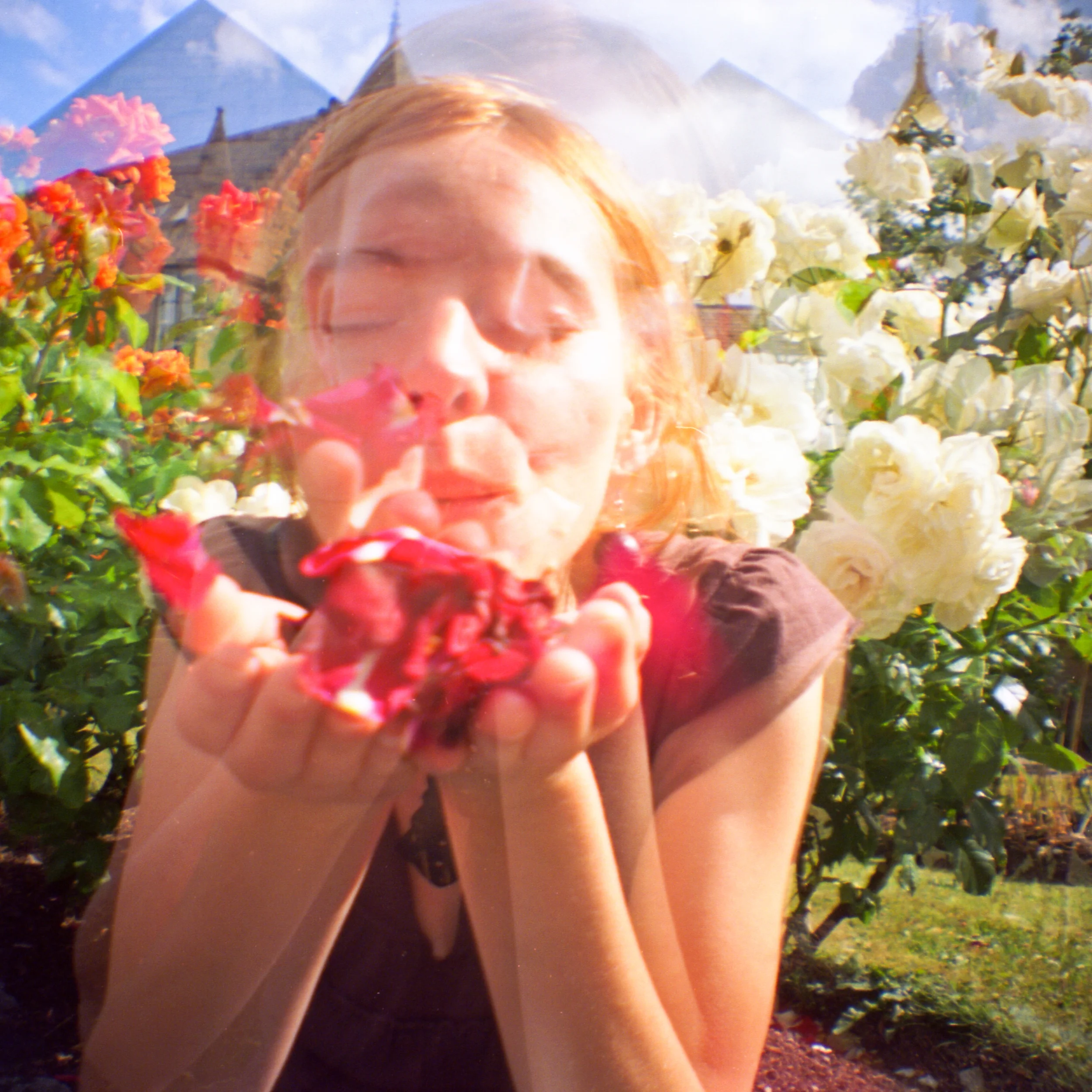 Joanna & Roses