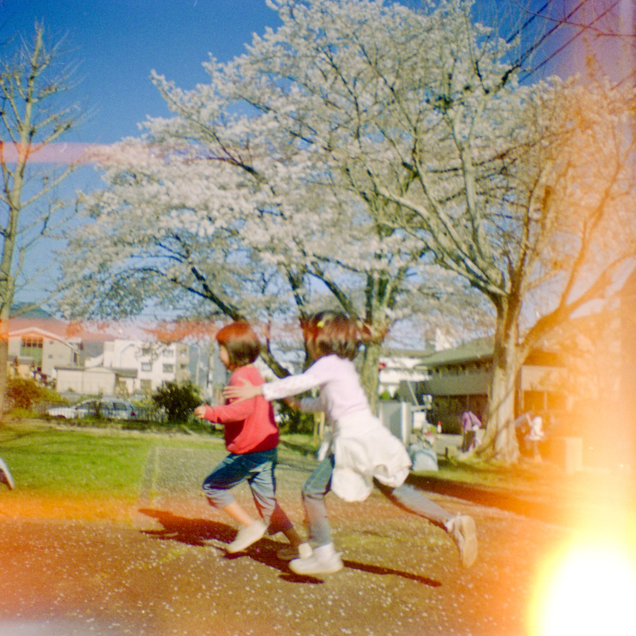 Cherry Blossom Girls