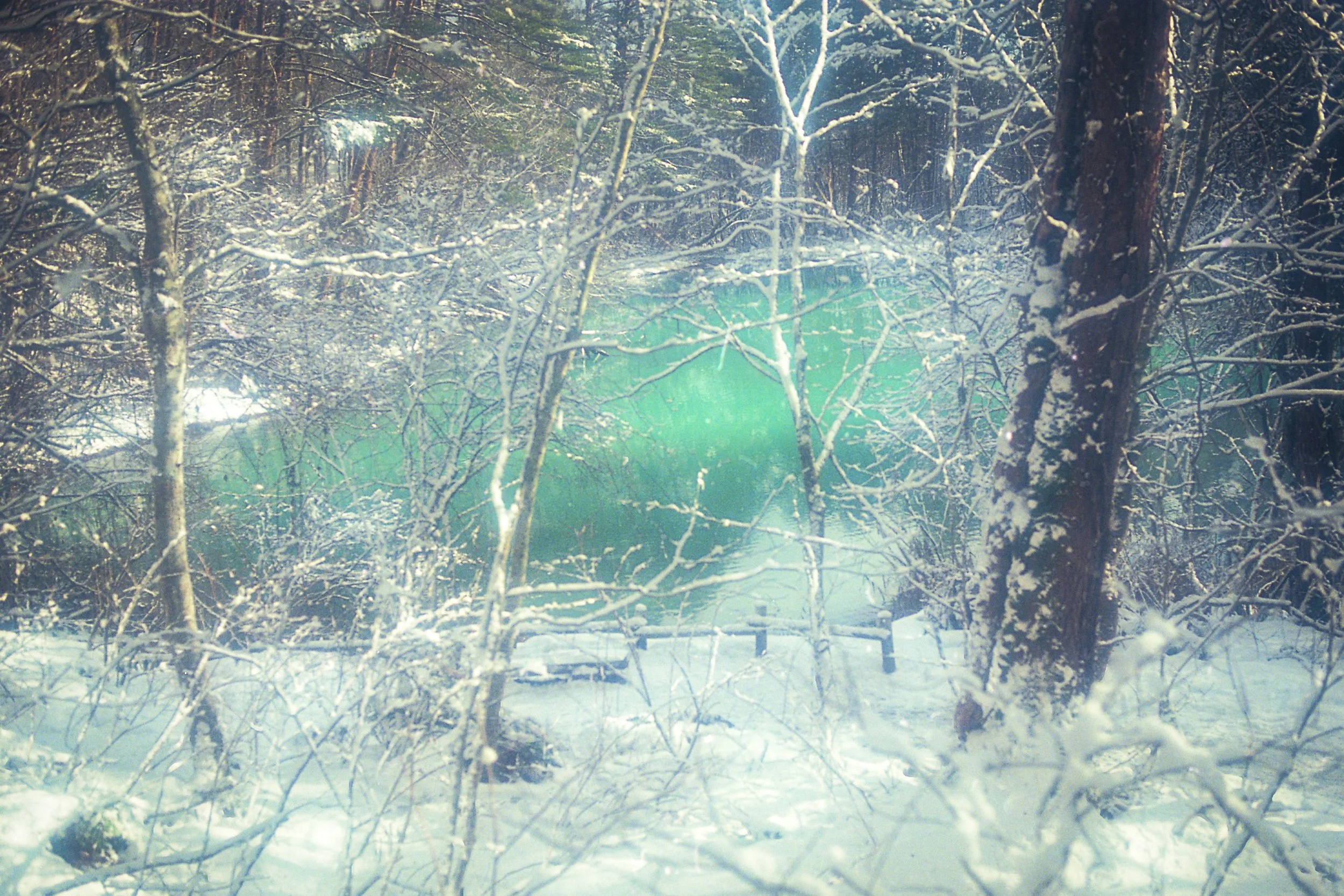 rts3_2021_12_2_001014 2.JPG