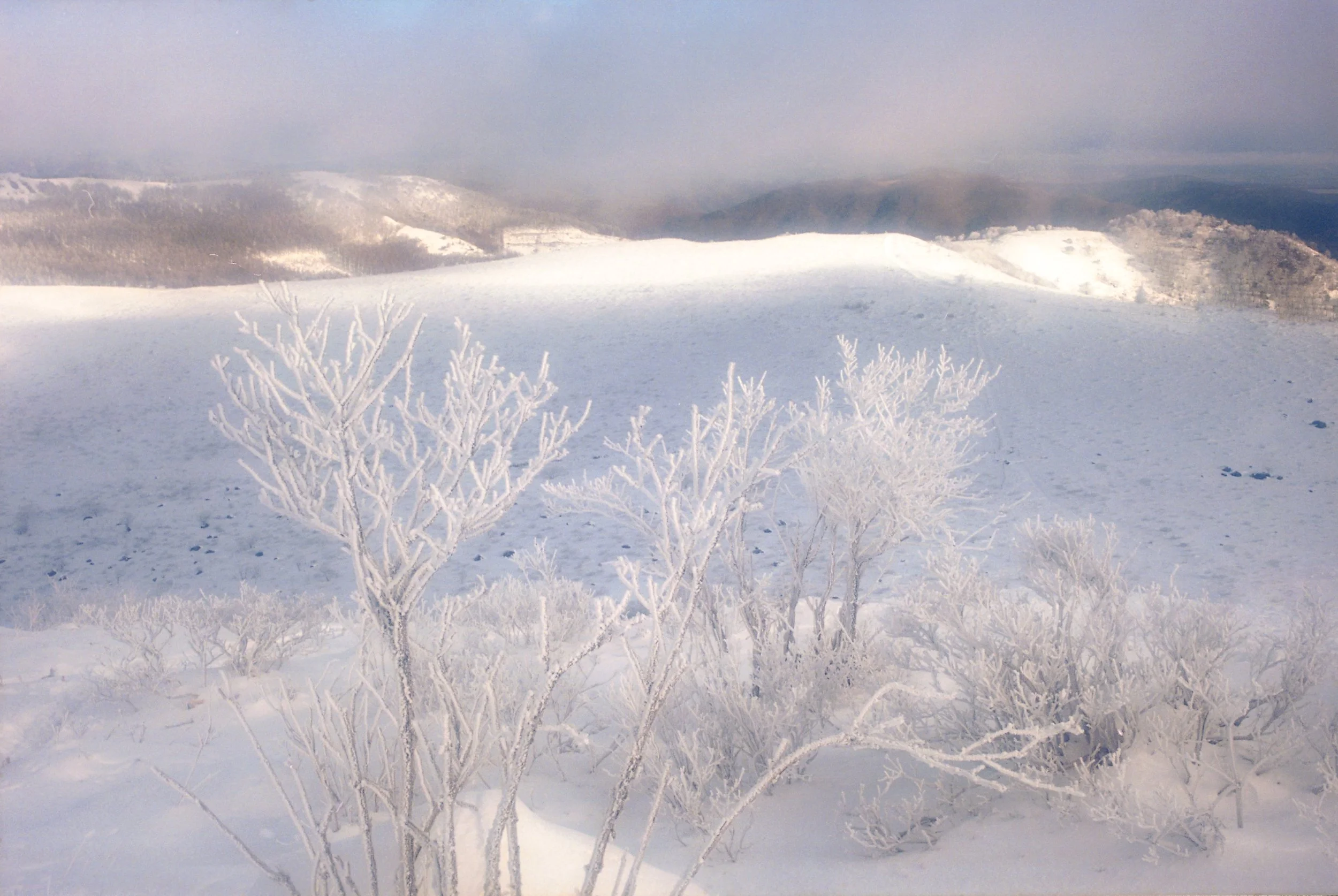 WW2023_5_Aria_034 2.jpg