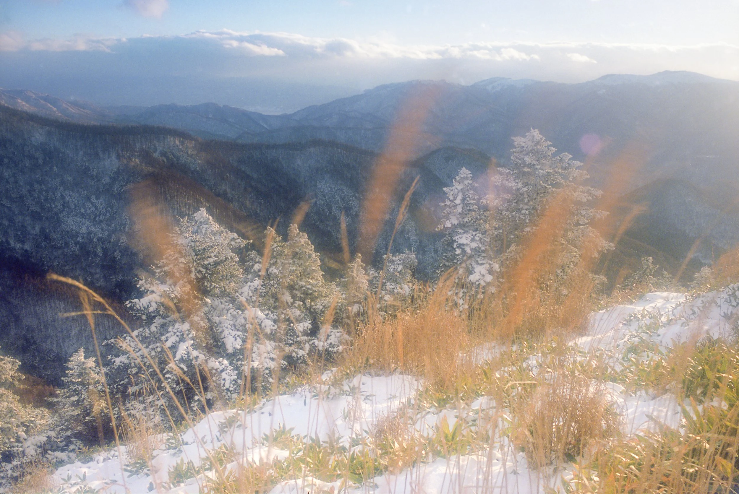 WW2023_2_RTS_004 2.JPG