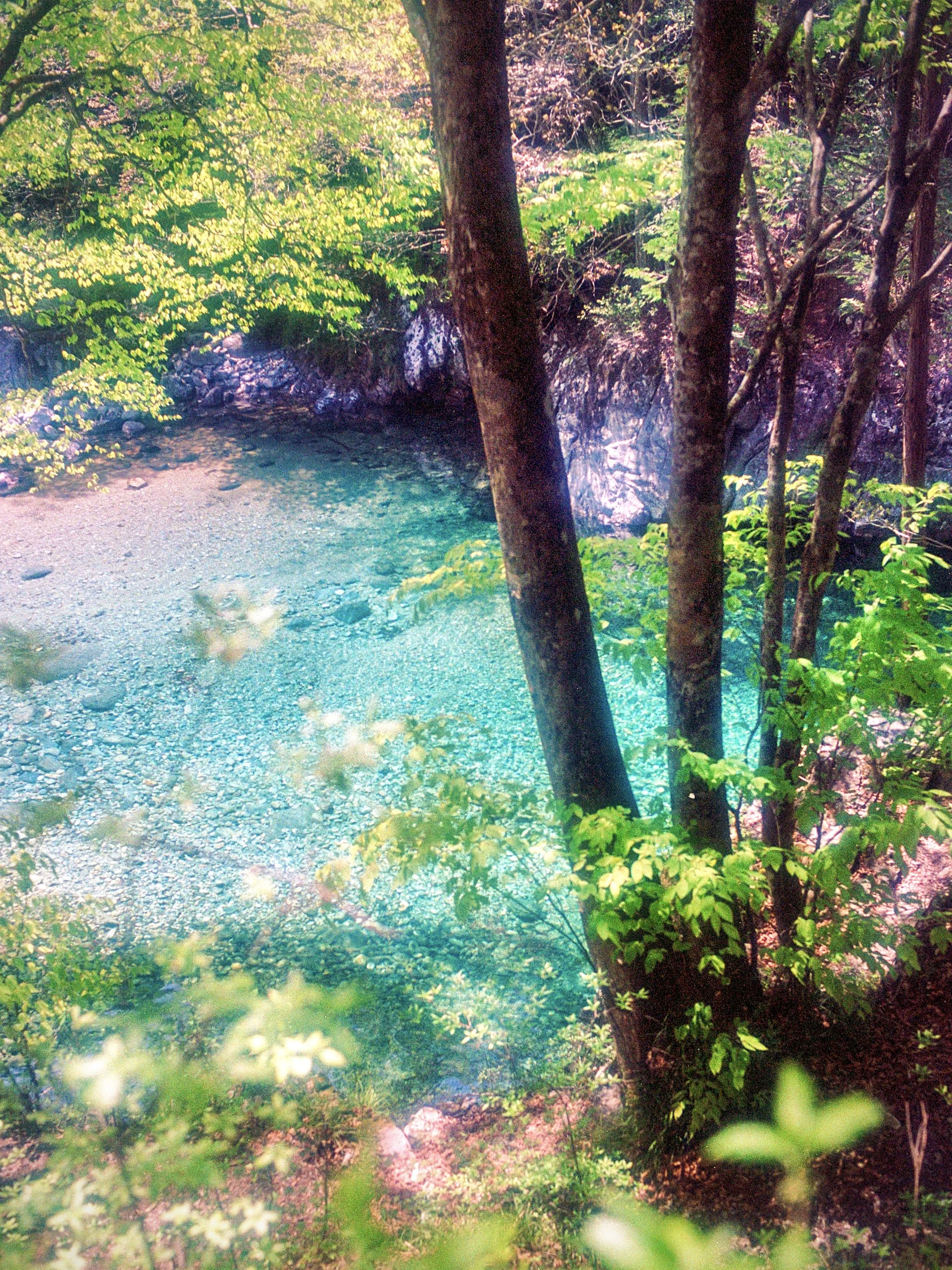 sl25_highres_03.jpeg