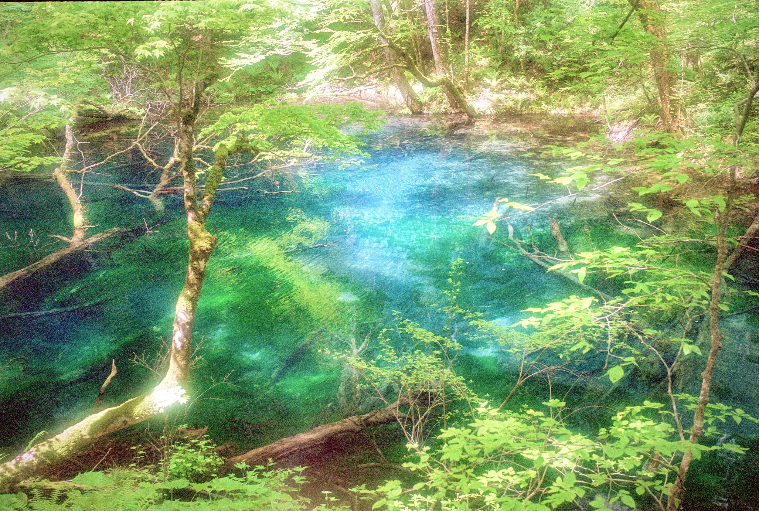 sl25_highres_07.jpeg