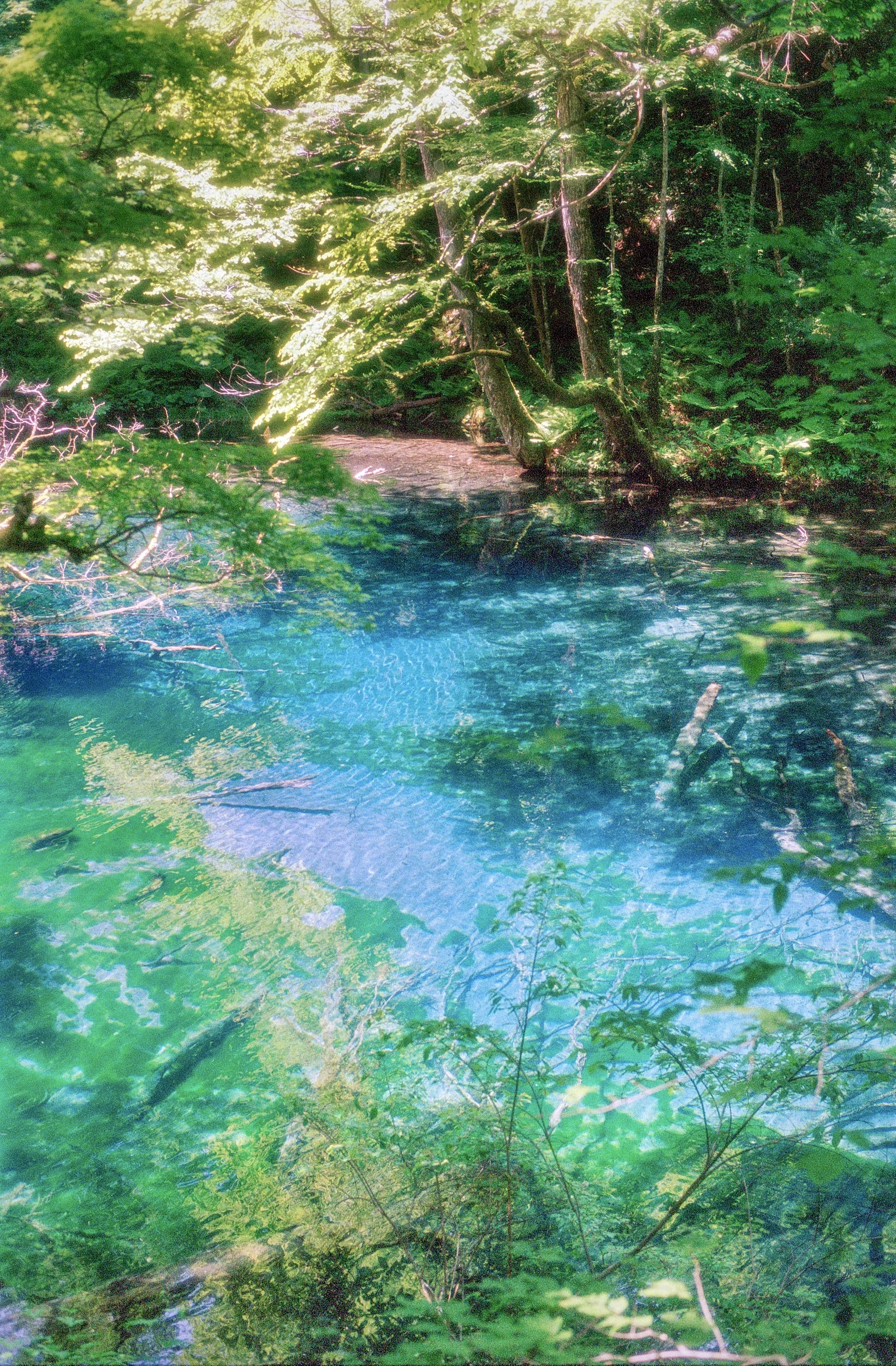 sl25_highres_08.jpeg