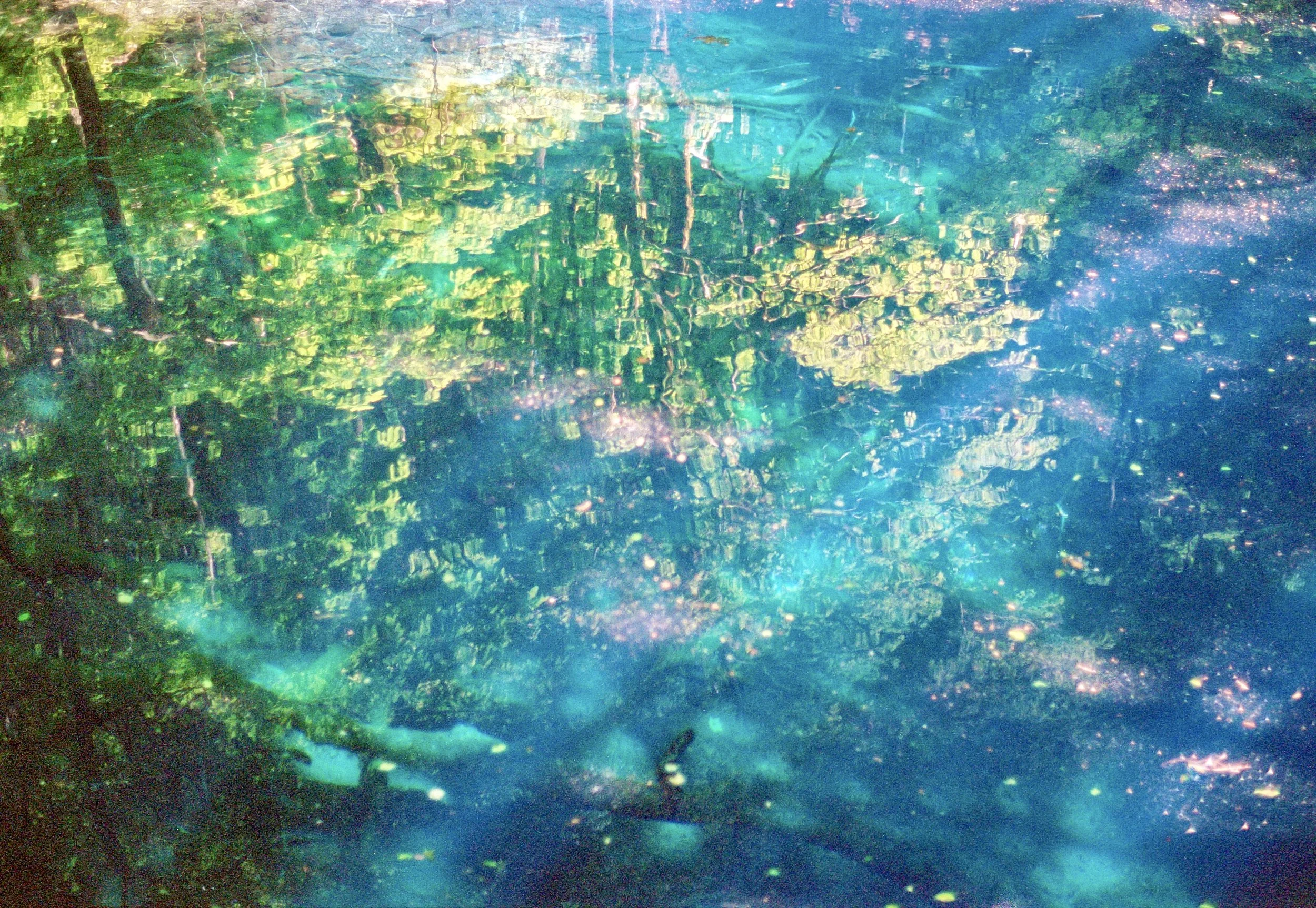 sl25_highres_09.jpeg