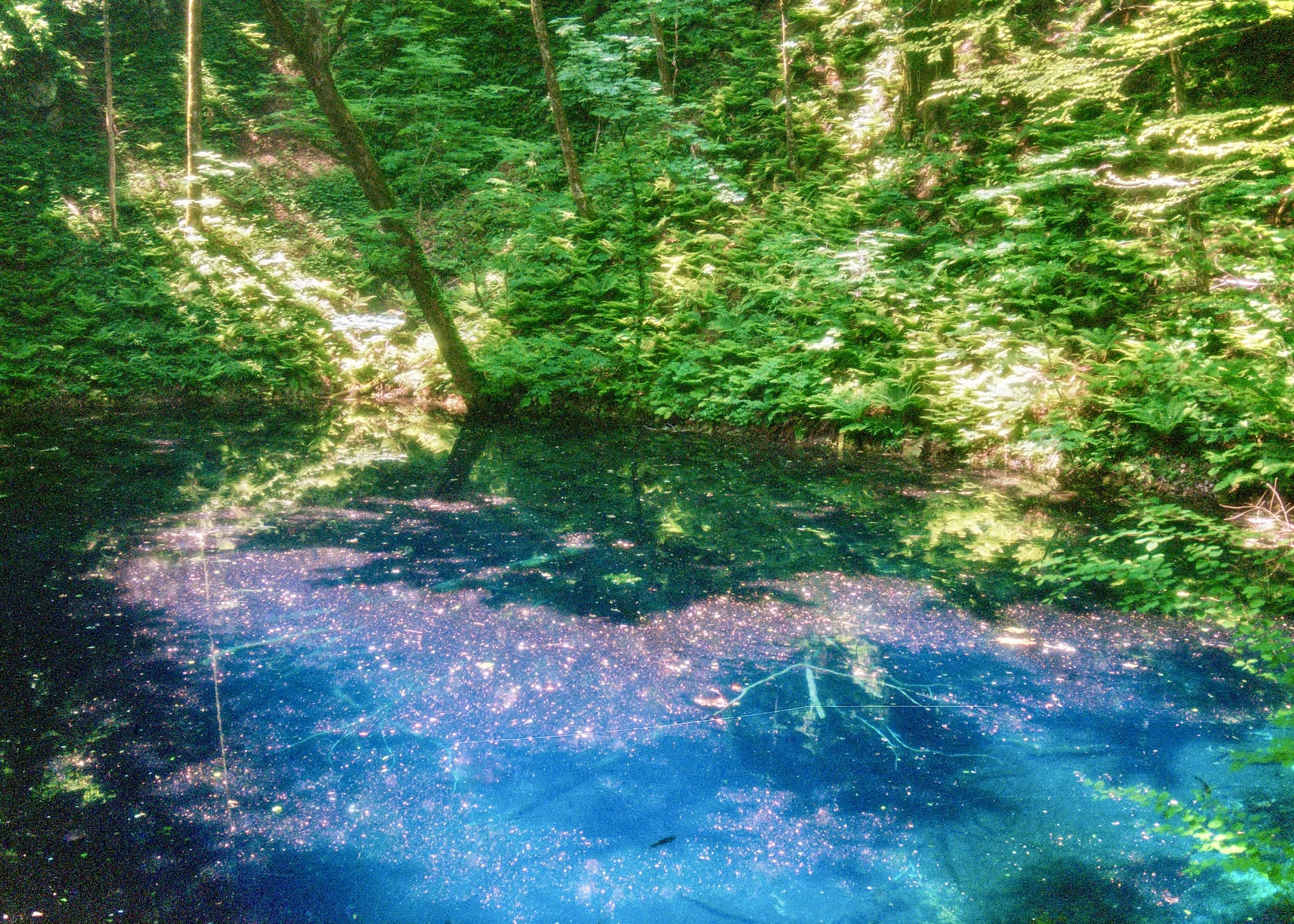 sl25_highres_11.jpeg