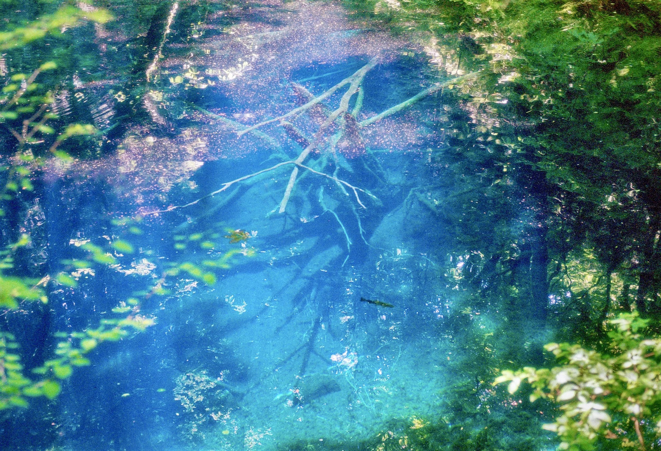 sl25_highres_18-2.jpeg