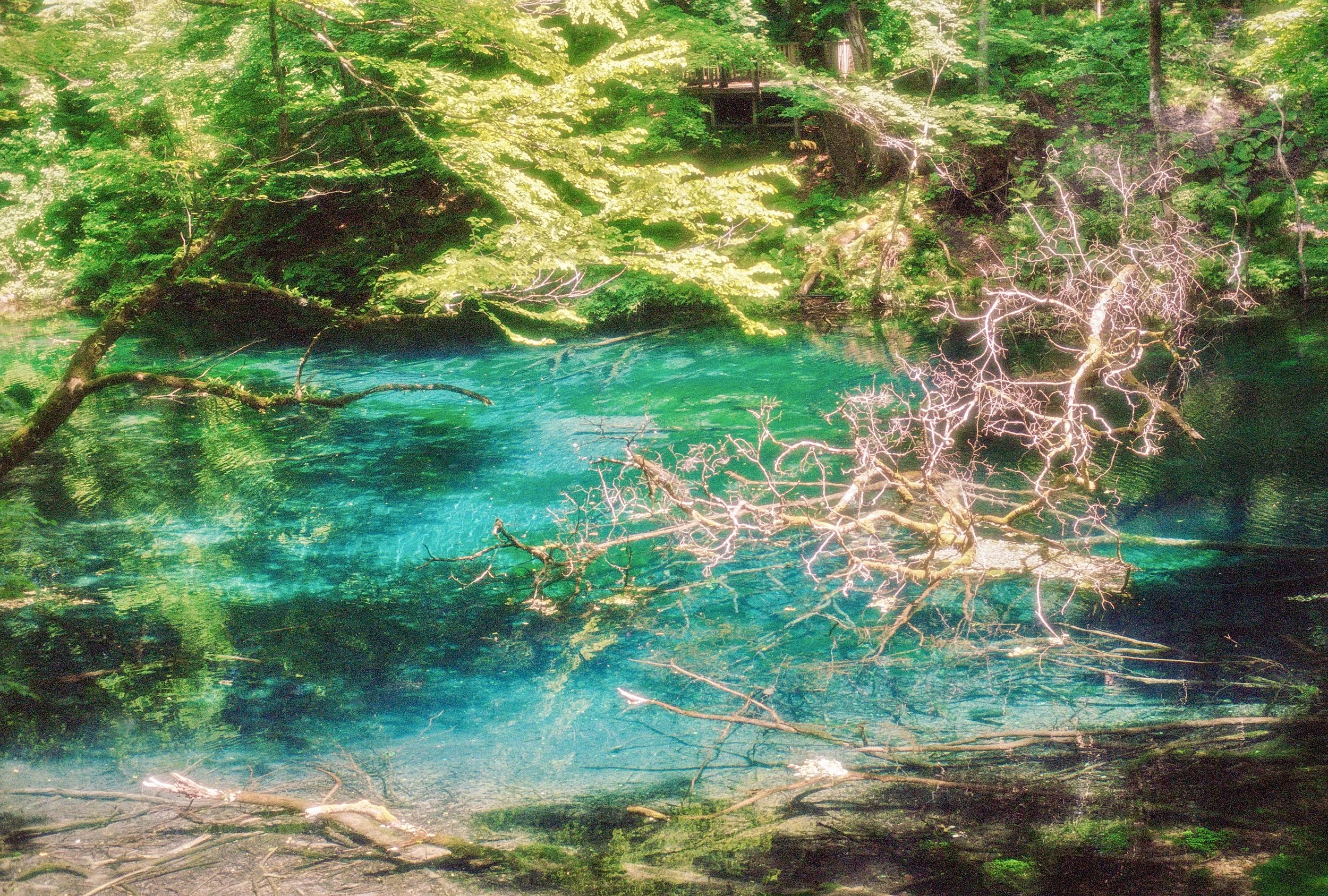 sl25_highres_19.jpeg
