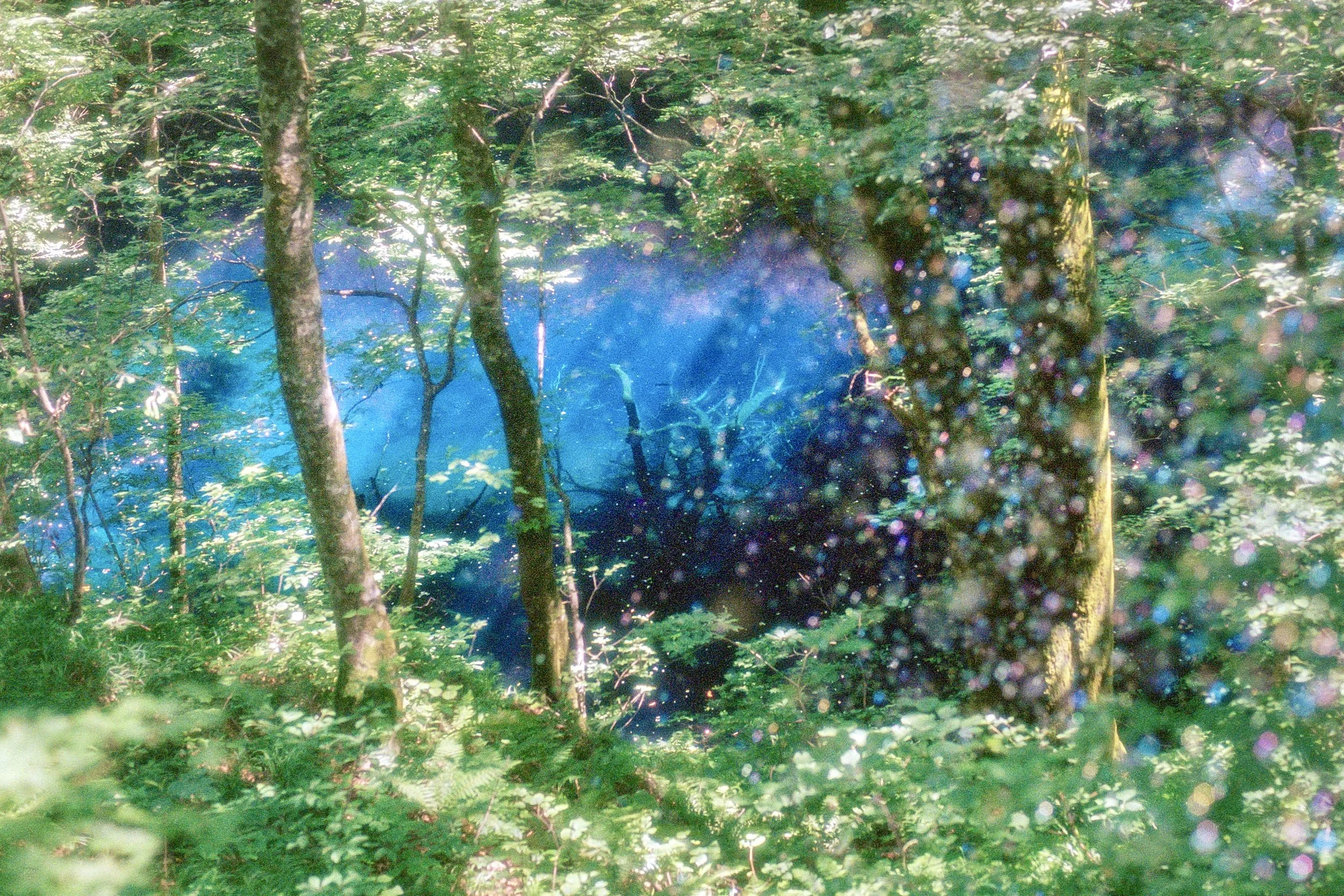 sl25_highres_20.jpeg