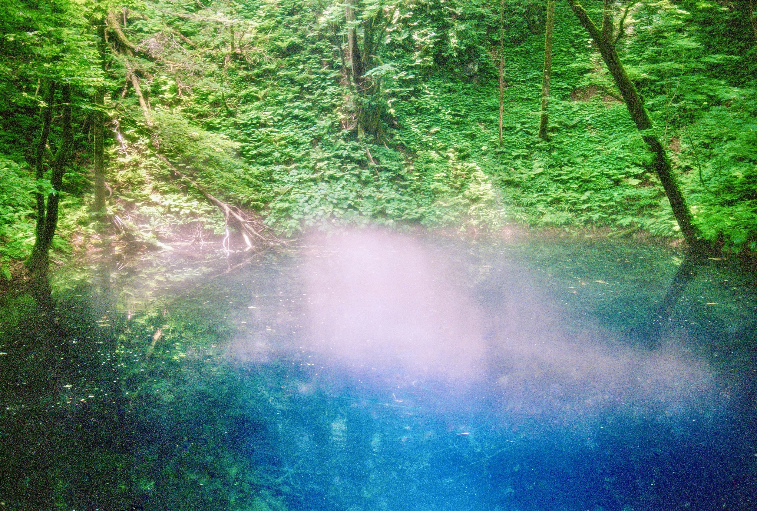 sl25_highres_21-2.jpeg