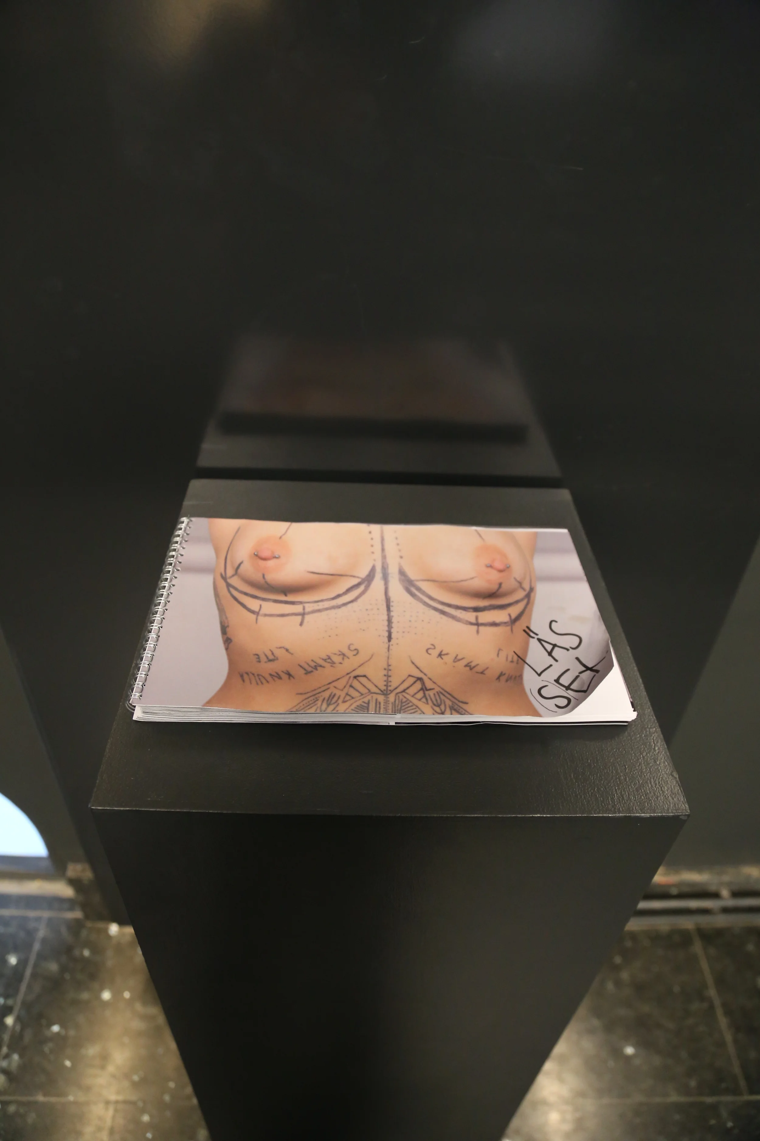 Installationview, Linnéa Sjöberg, a dummy for the book about Salong Flyttkartong, Nille Editions 2014